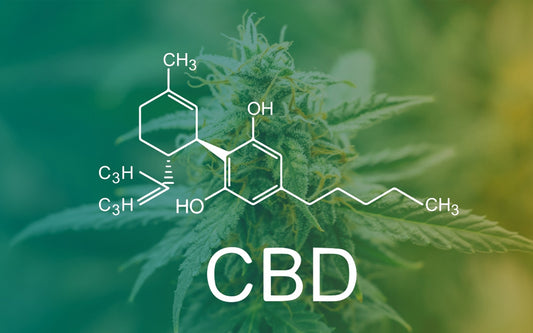 What is Full Spectrum CBD Oil?