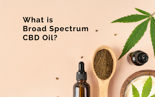 What is Broad Spectrum CBD Oil?
